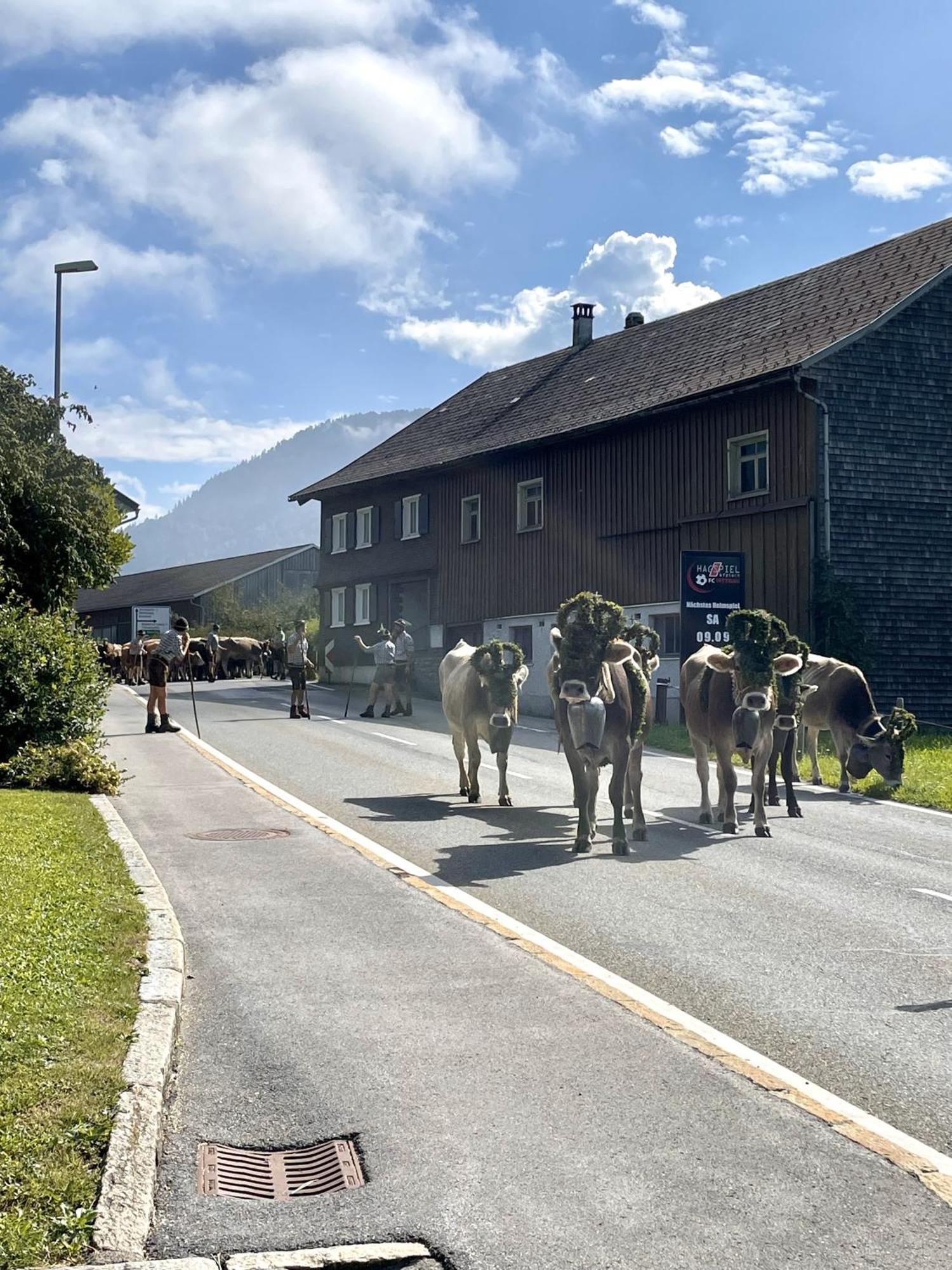 Zu Gast Bei Den Hagspiels Apartment Hittisau Exterior foto